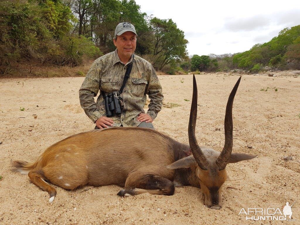 Hunting Chobe Bushbuck in Mozambique