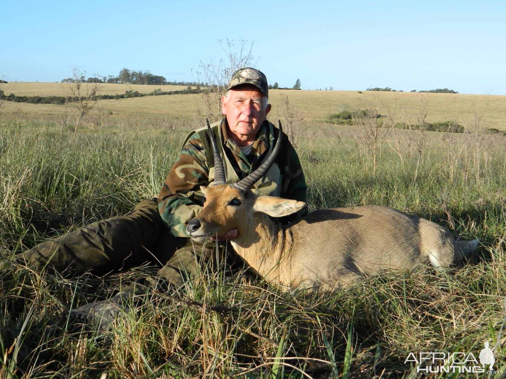 Hunting Common Reedbuck