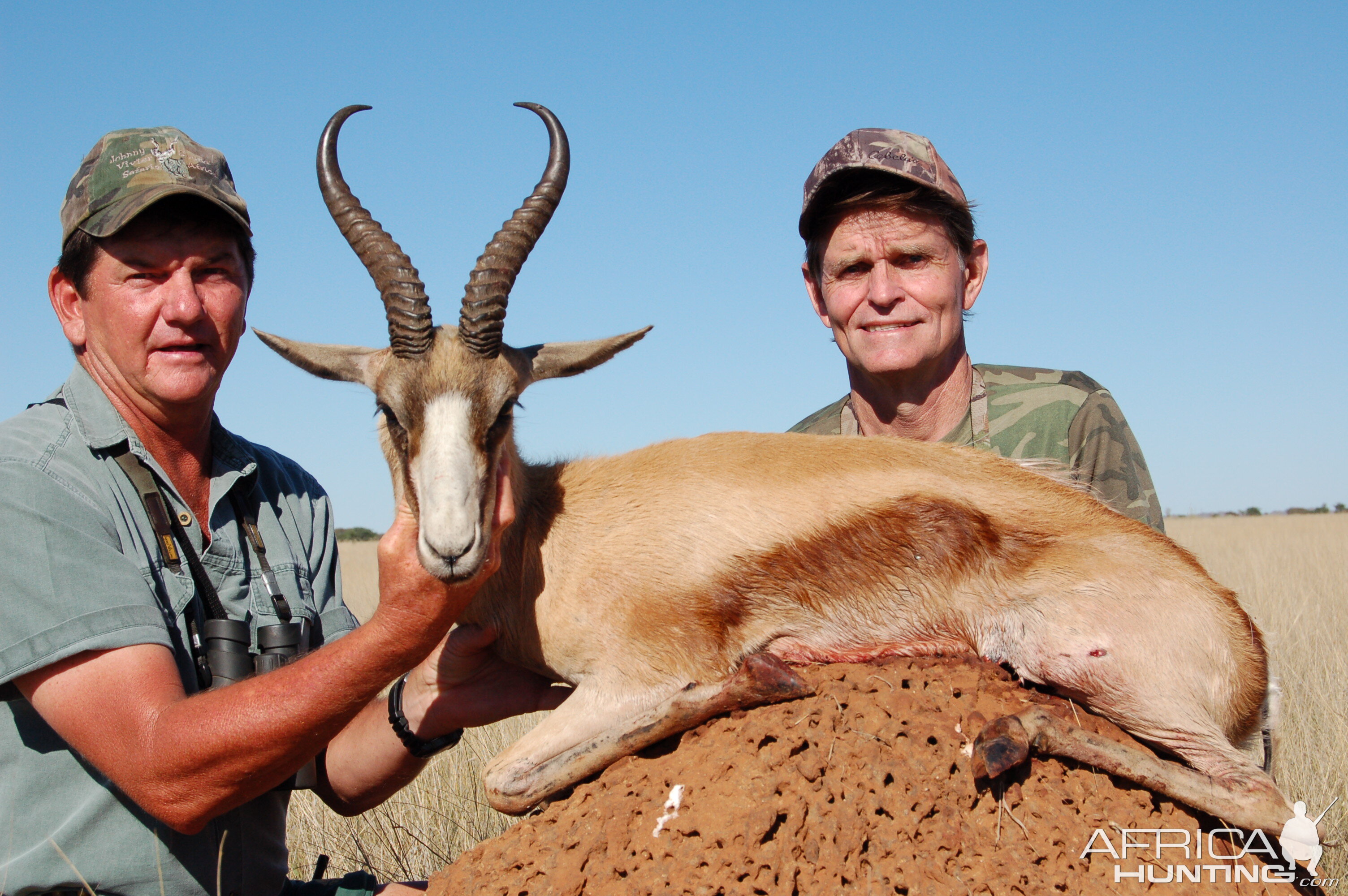 Hunting Copper Springbuck with Wintershoek Johnny Vivier Safaris in SA