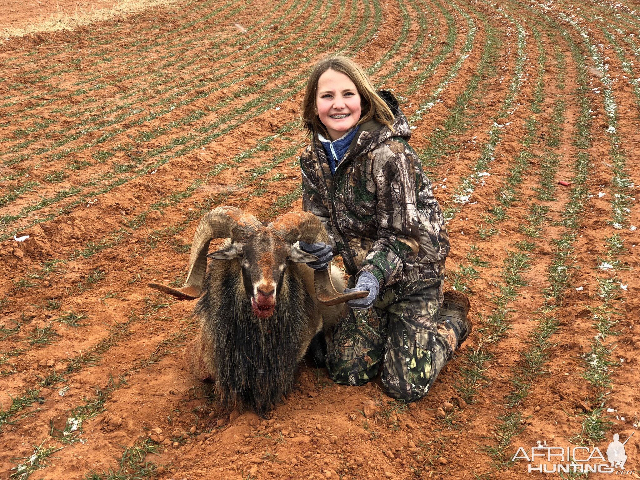 Hunting Corsican Sheep in Texas USA