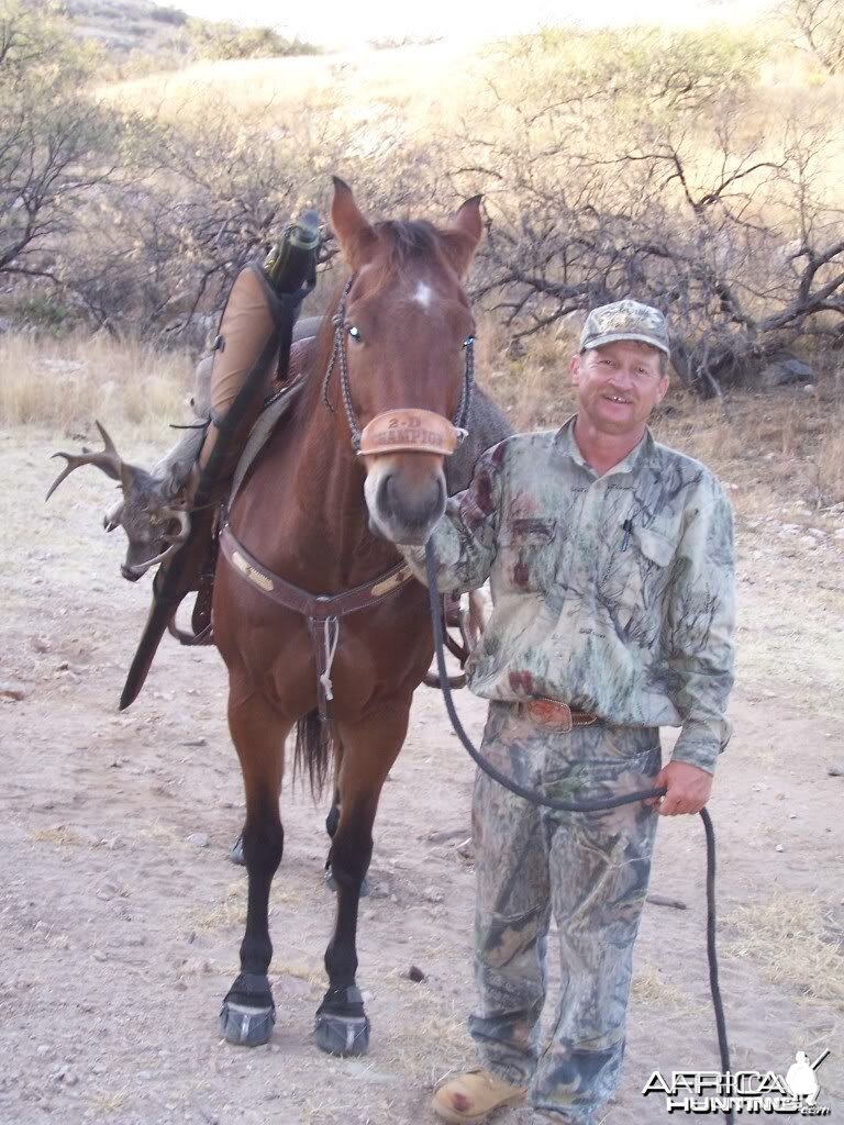 Hunting Coues Deer Arizona