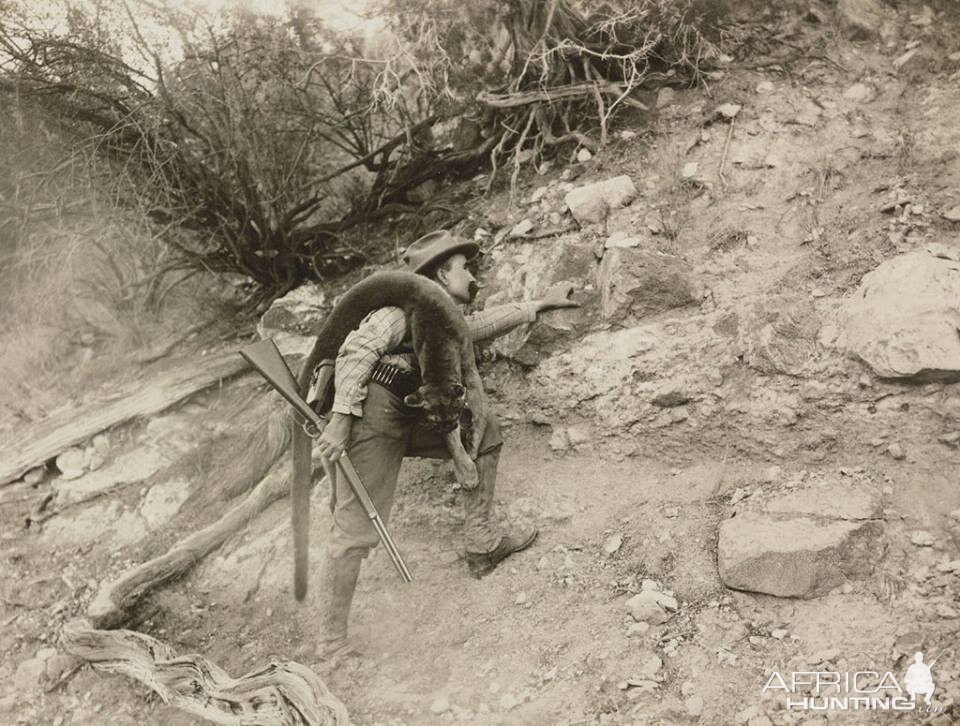 Hunting Cougar along the Mexican border 1910s