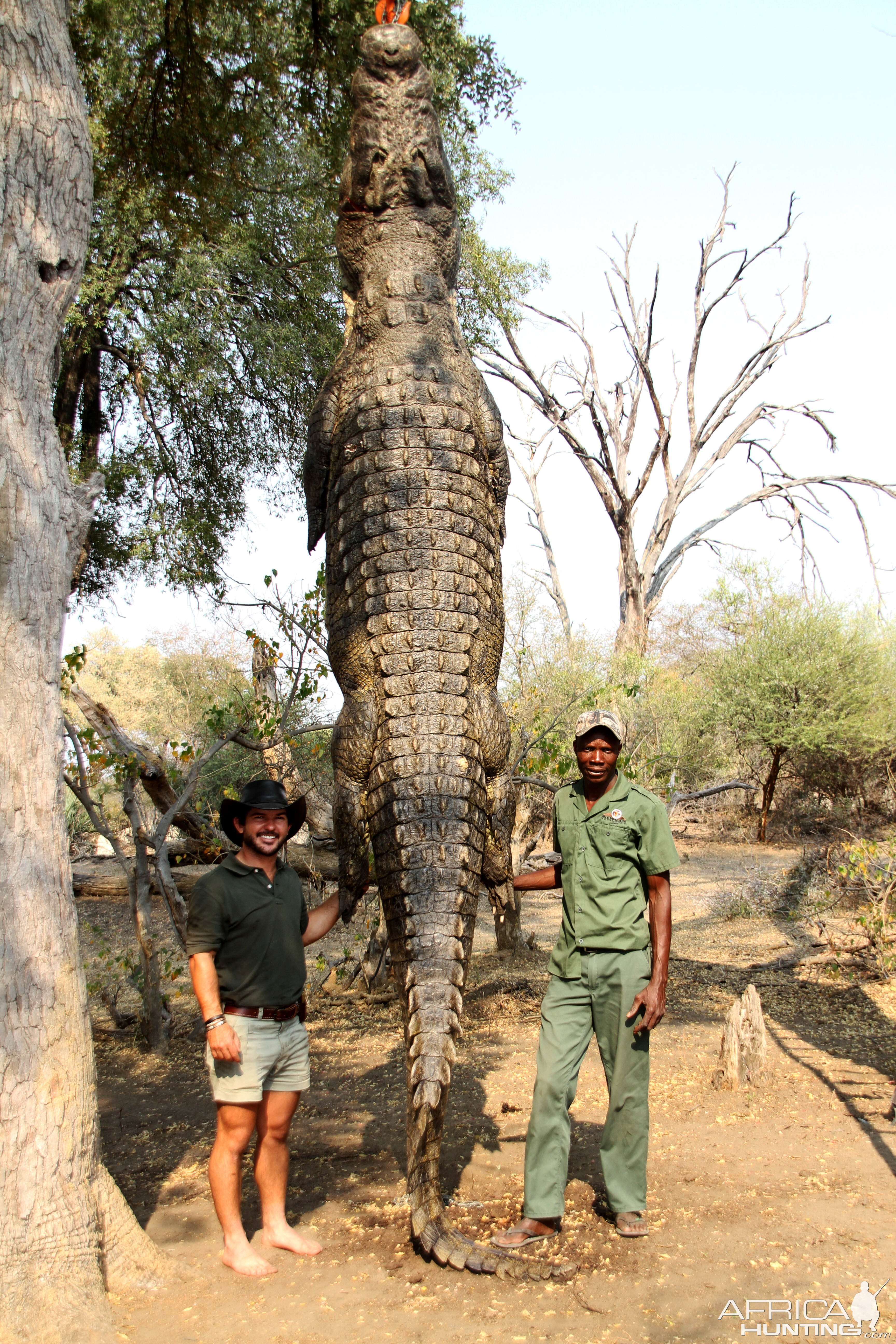 Hunting Crocodile in Namibia