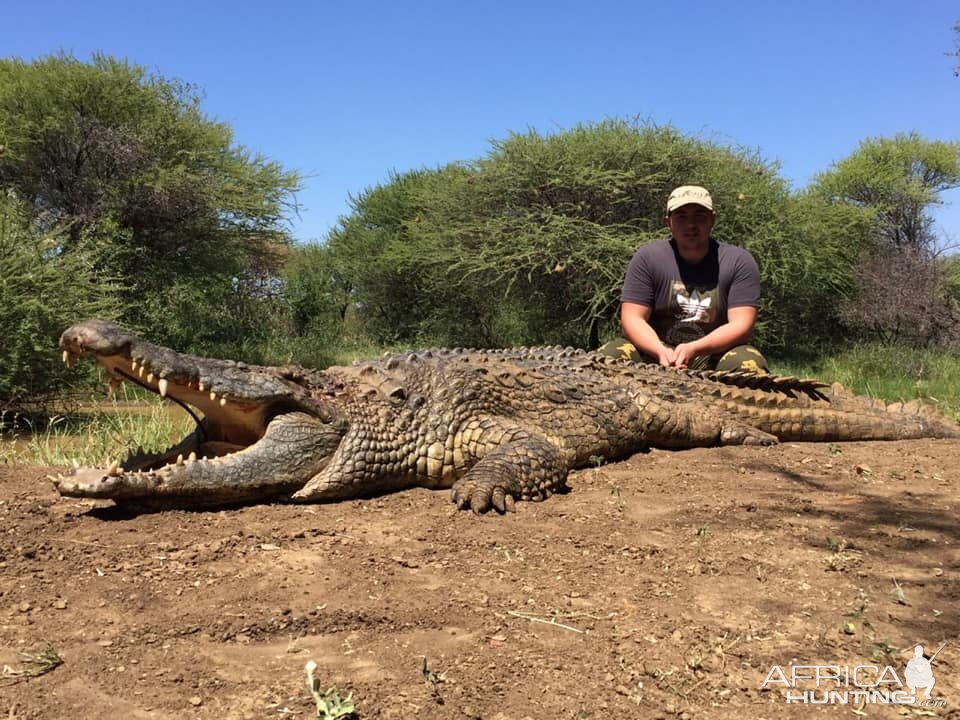 Hunting Crocodile in South Africa