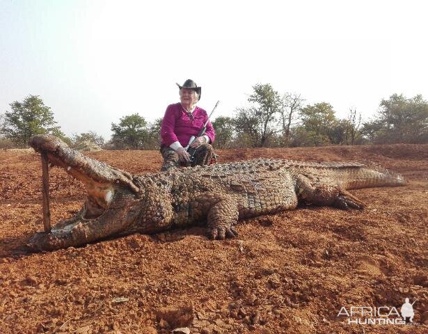 Hunting Crocodile in South Africa