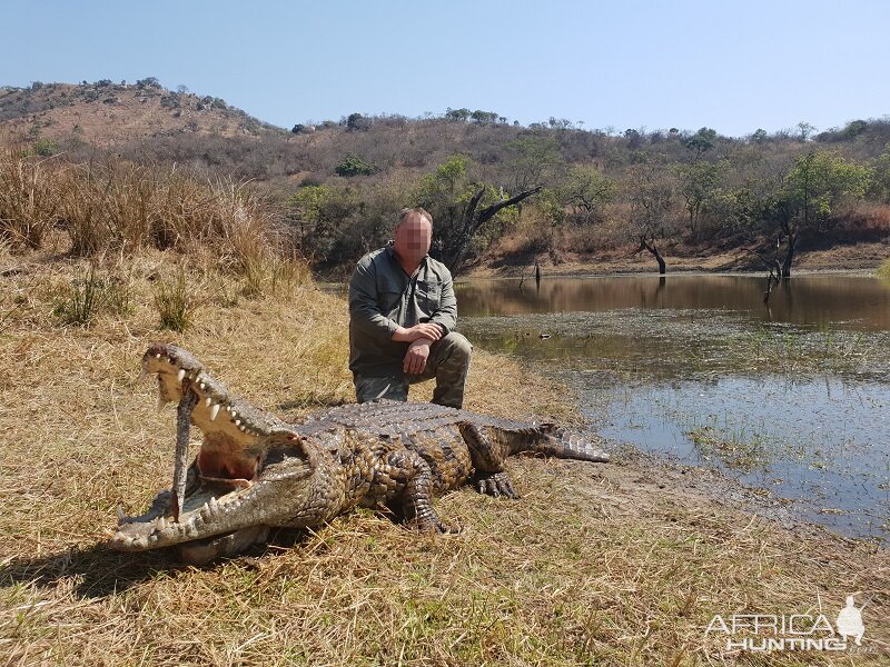 Hunting Crocodile in South Africa