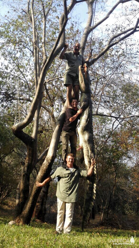 Hunting Crocodile in Zimbabwe