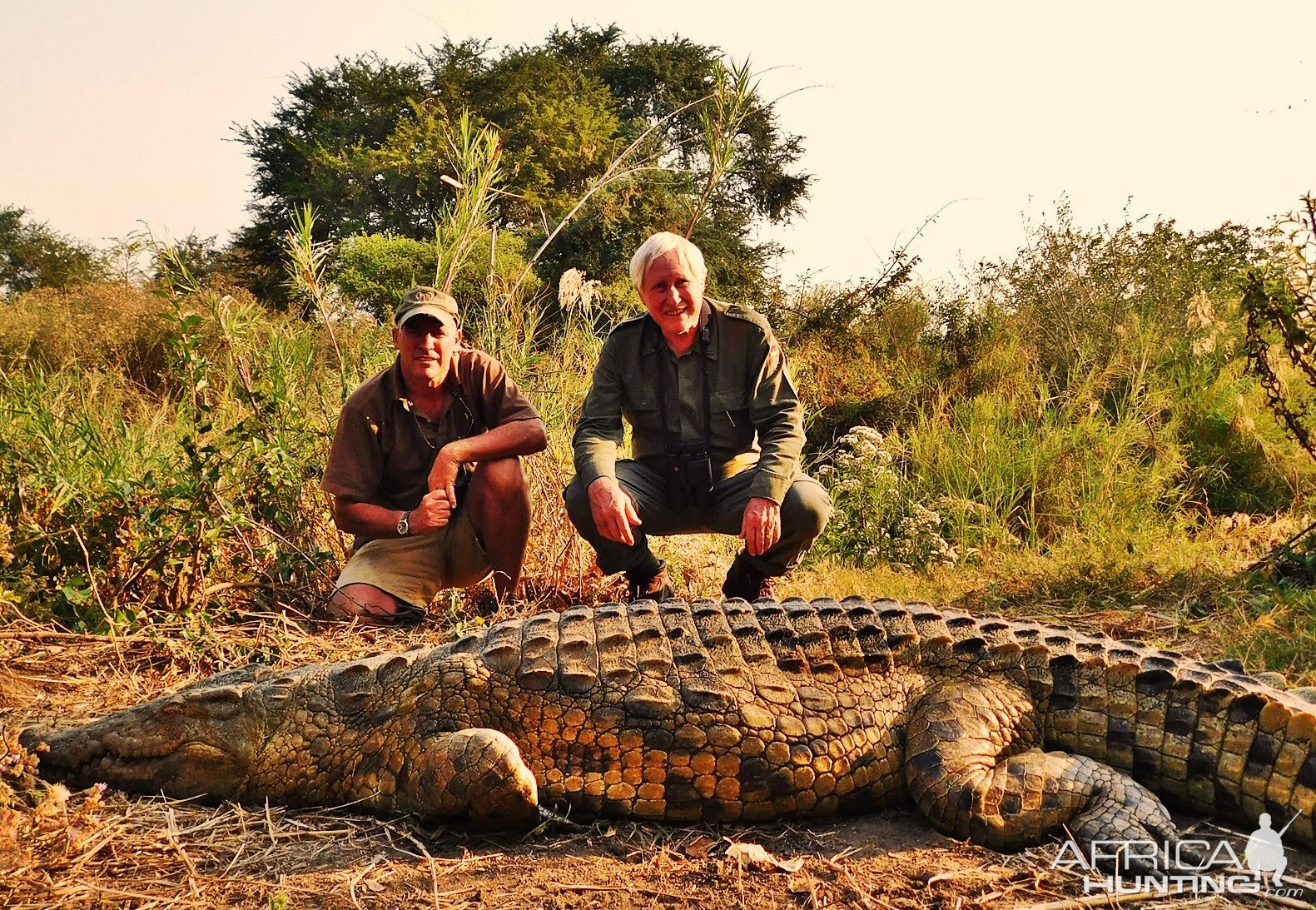 Hunting Crocodile Zambia