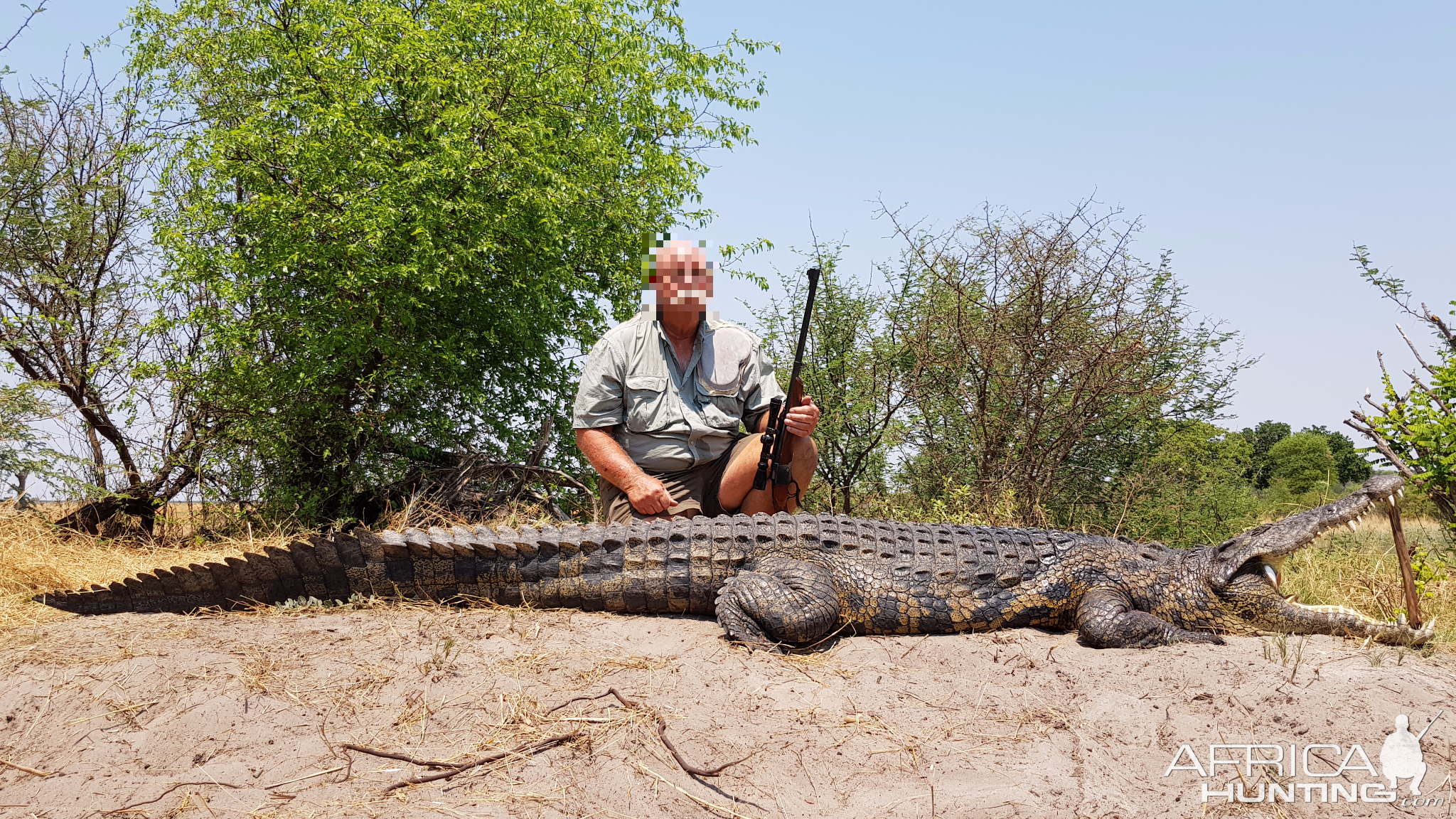 Hunting Crocodile