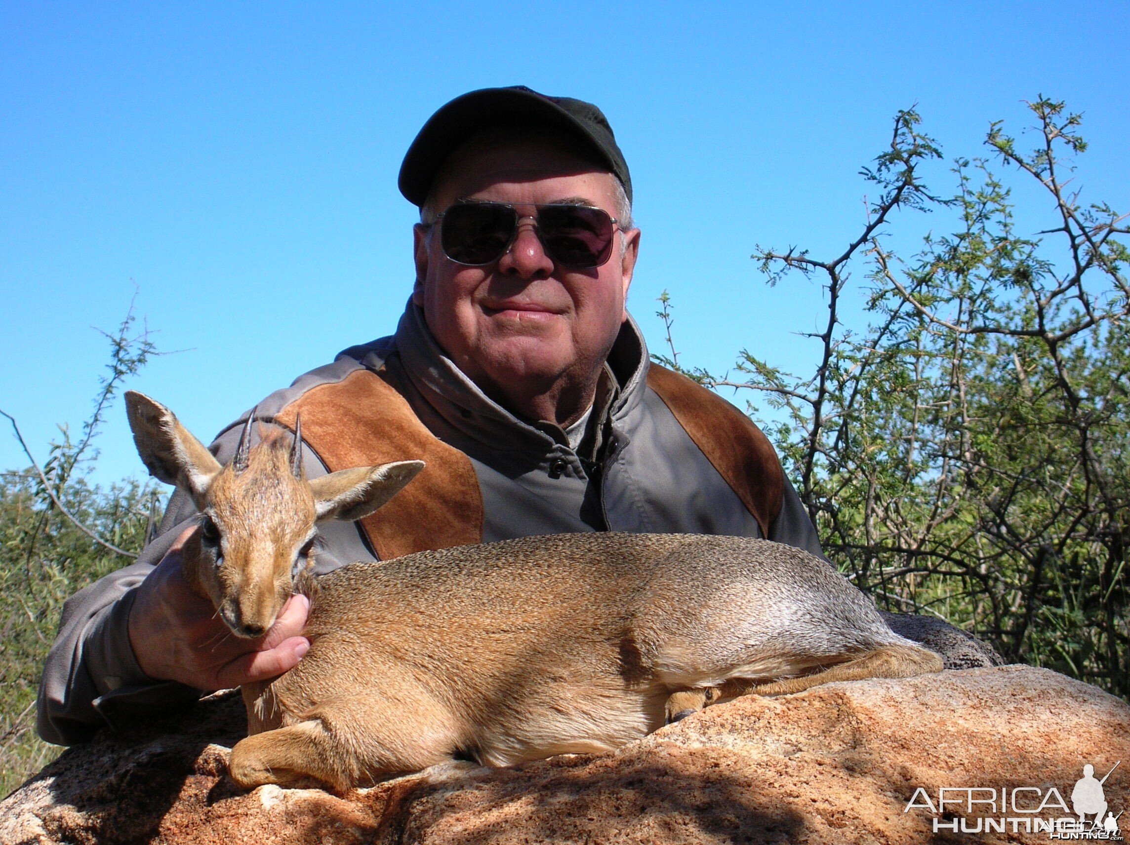 Hunting Damara Dik-Dik in Namibia