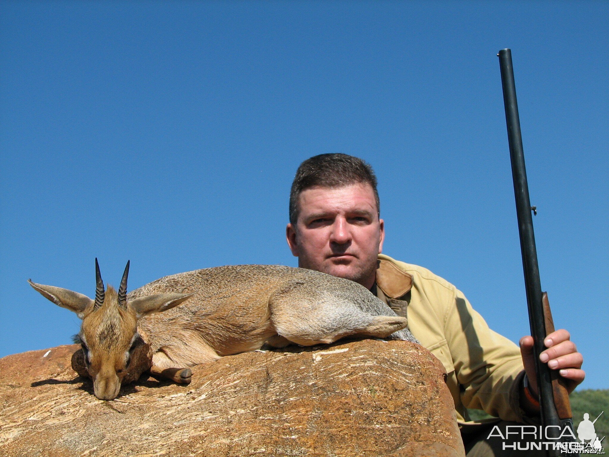 Hunting Damara Dik-Dik in Namibia