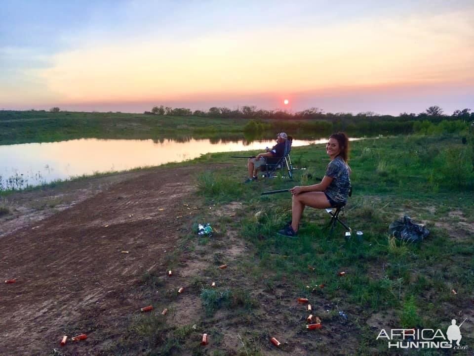 Hunting Doves in Texas USA