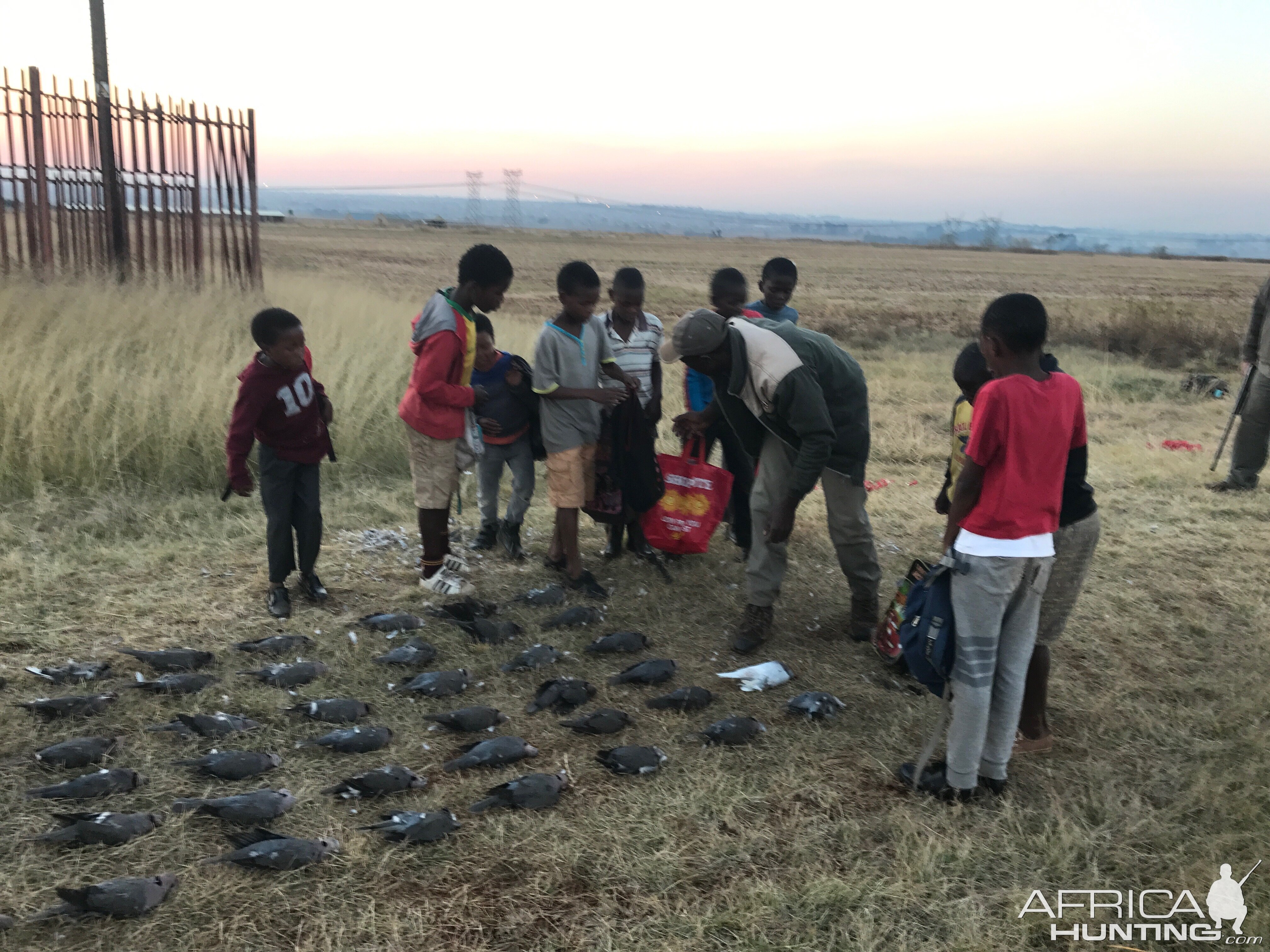 Hunting Doves South Africa