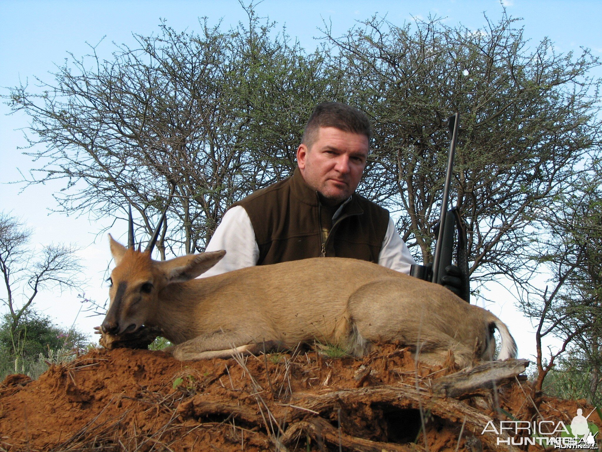 Hunting Duiker in Namibia