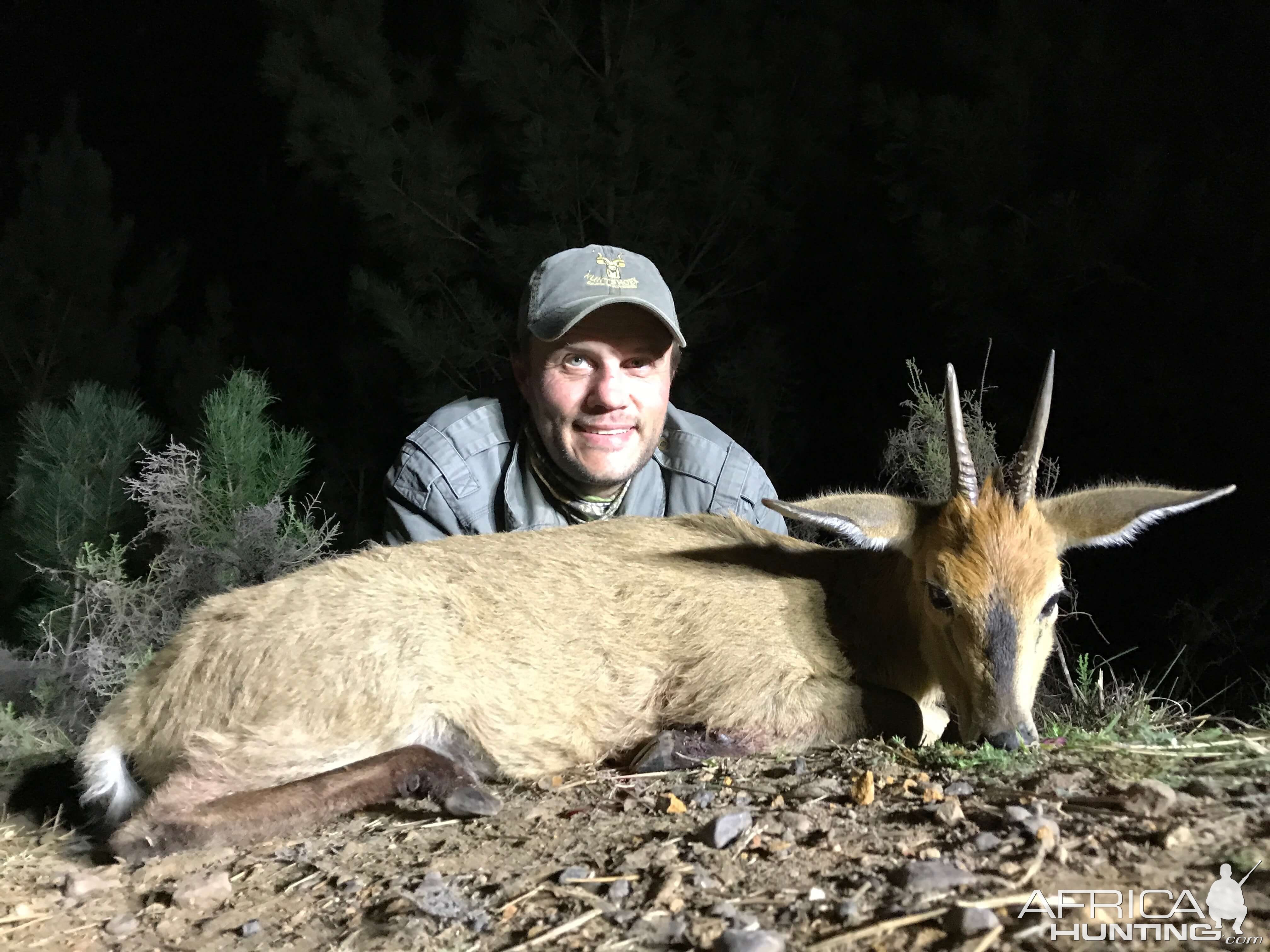 Hunting Duiker in South Africa