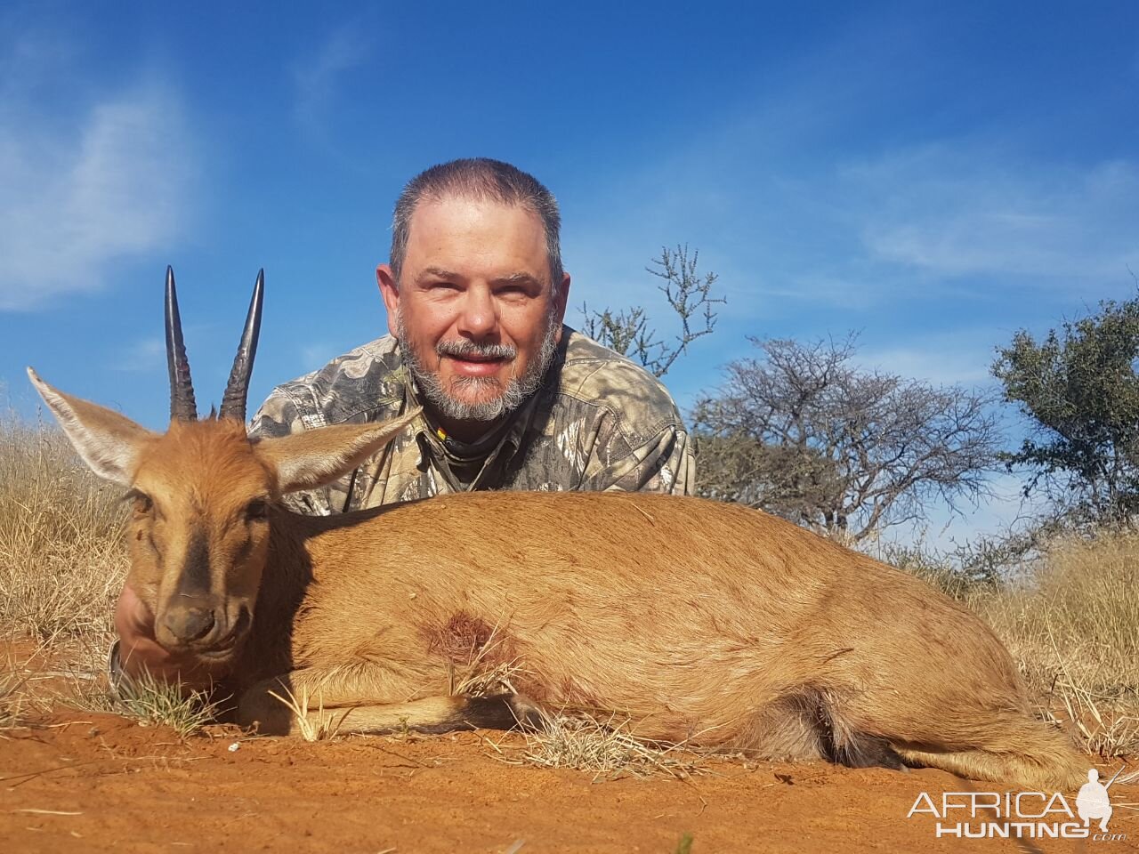 Hunting Duiker in South Africa