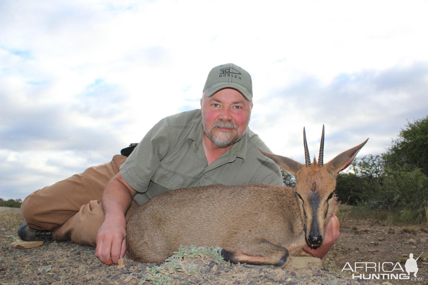 Hunting Duiker in South Africa