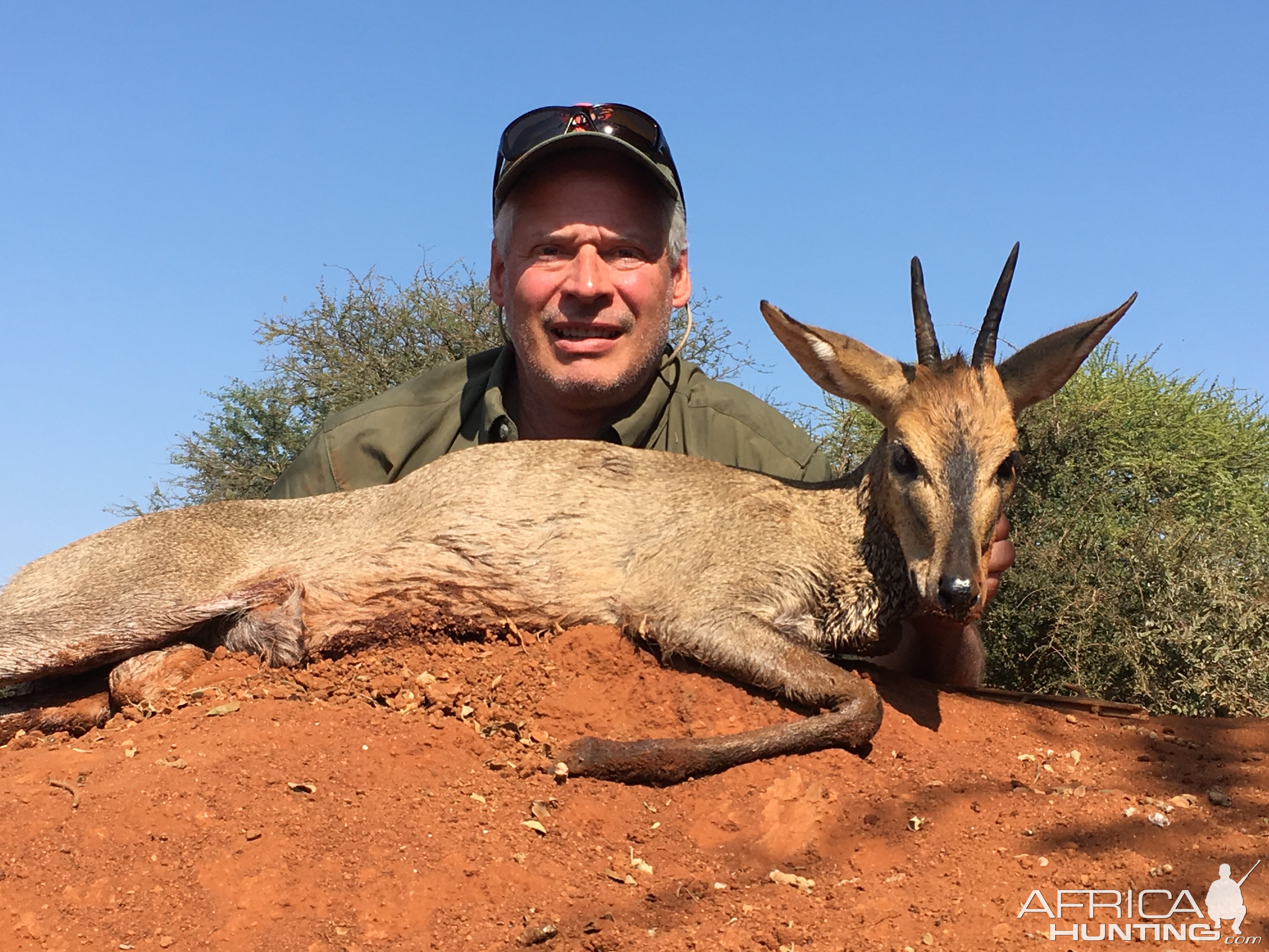 Hunting Duiker in South Africa