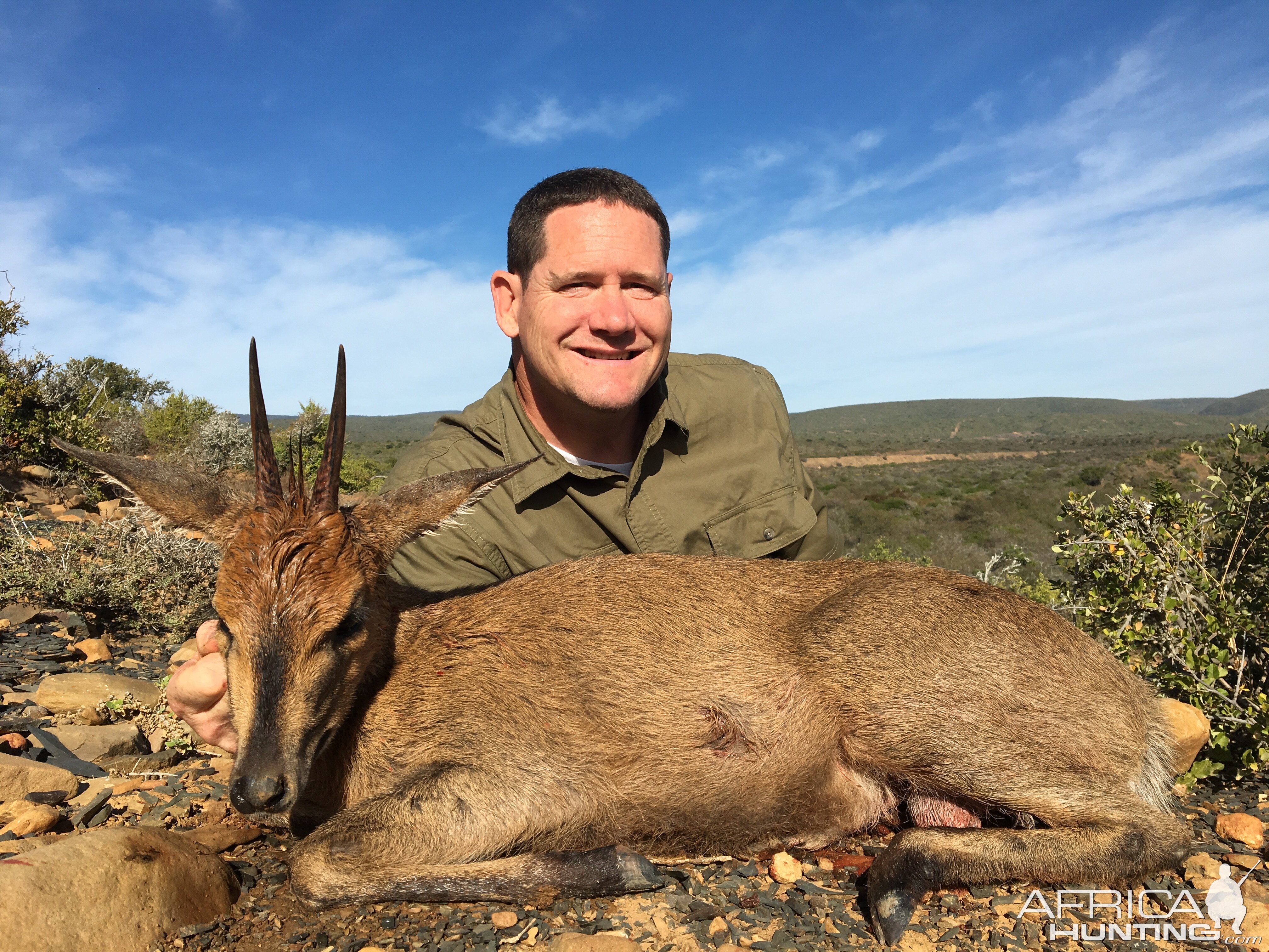 Hunting Duiker South Africa