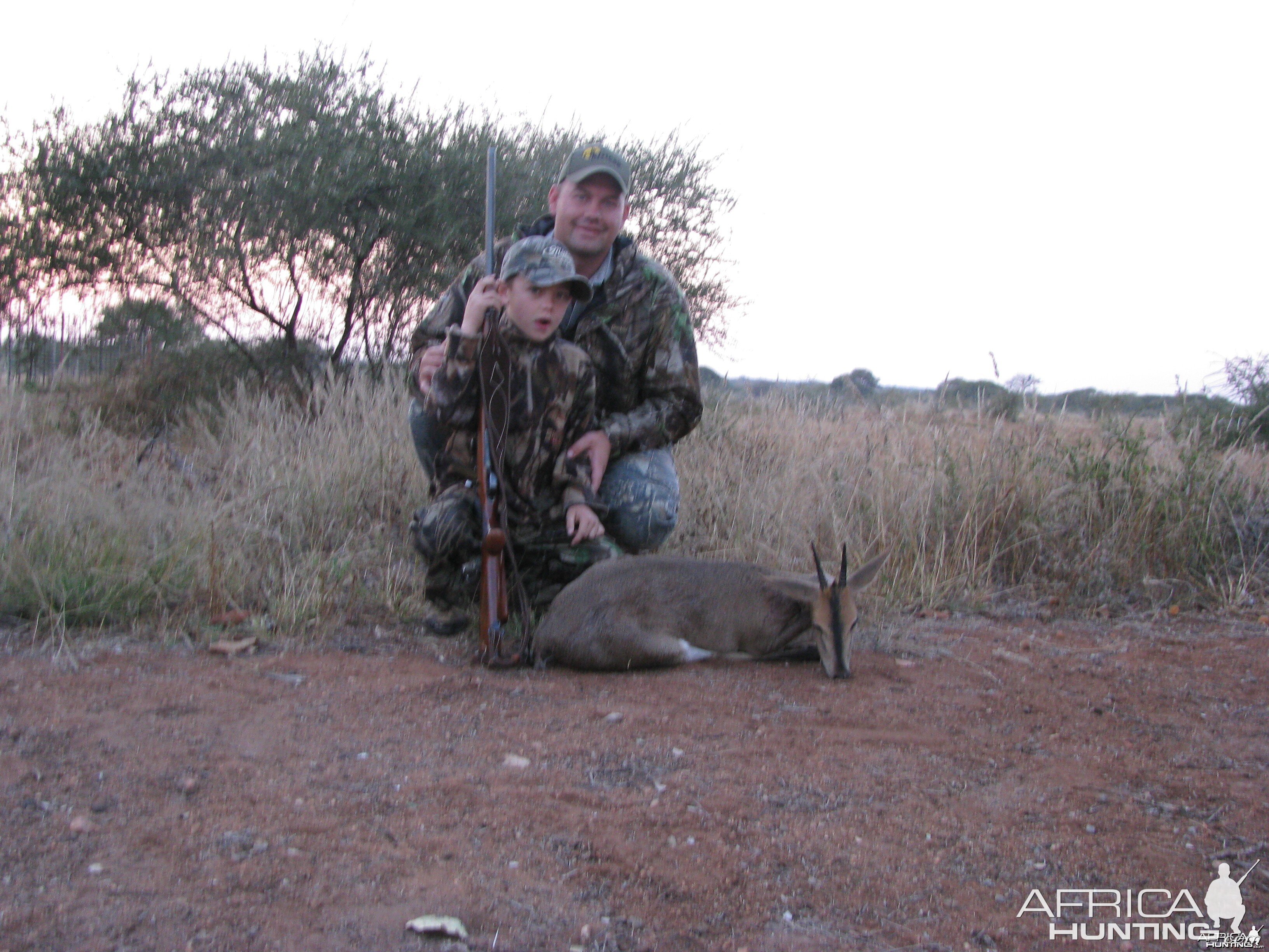 Hunting Duiker