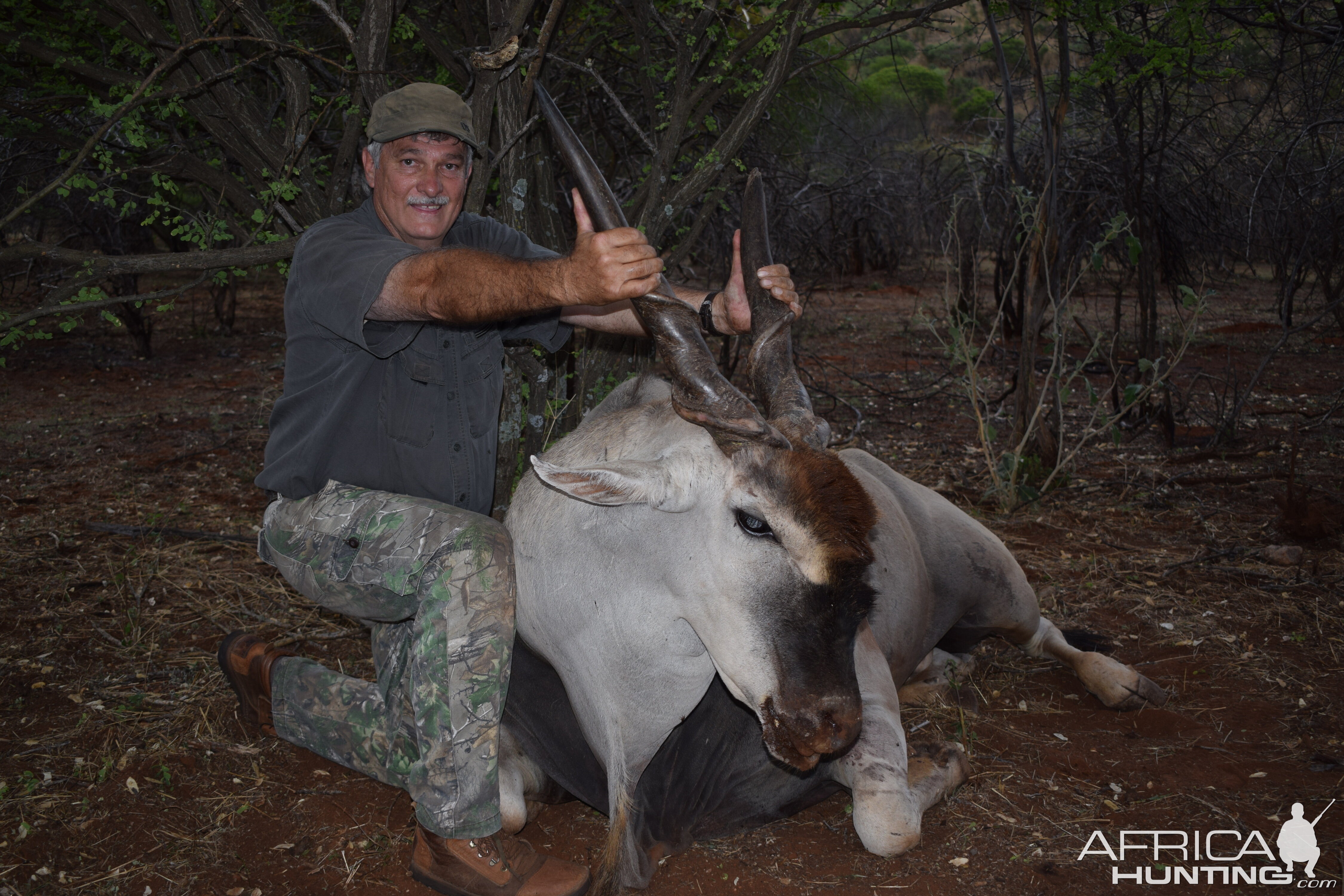 Hunting Eland in Namibia