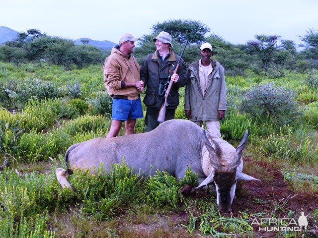 Hunting Eland in Namibia