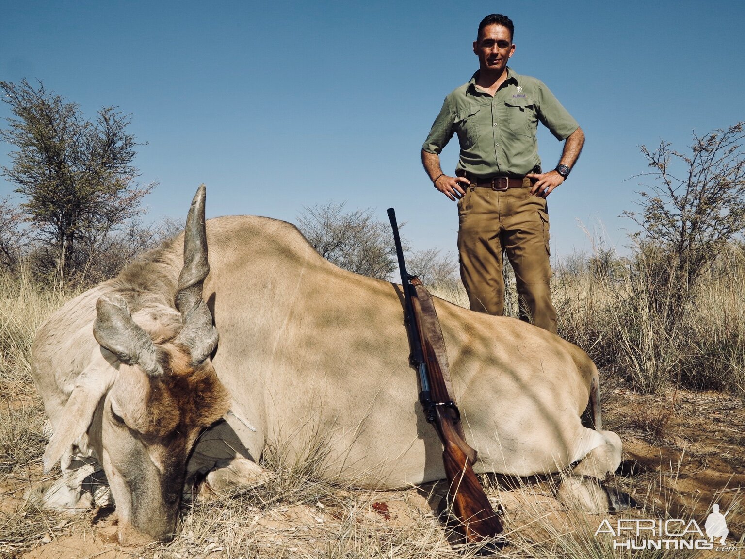 Hunting Eland in Namibia