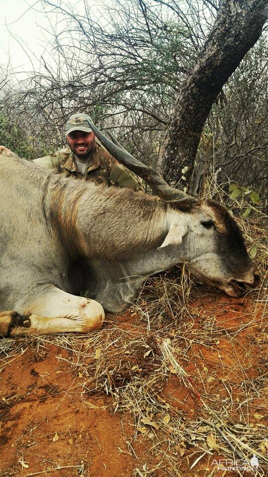 Hunting Eland in South Africa