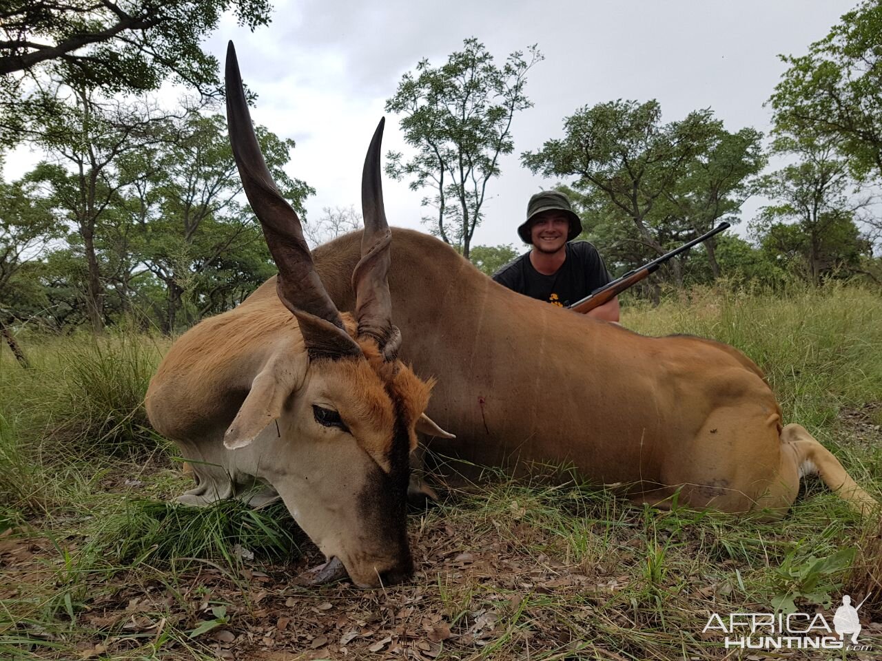 Hunting Eland in South Africa