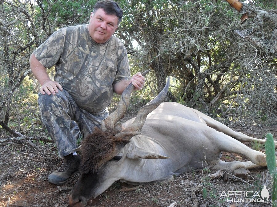 Hunting Eland in South Africa