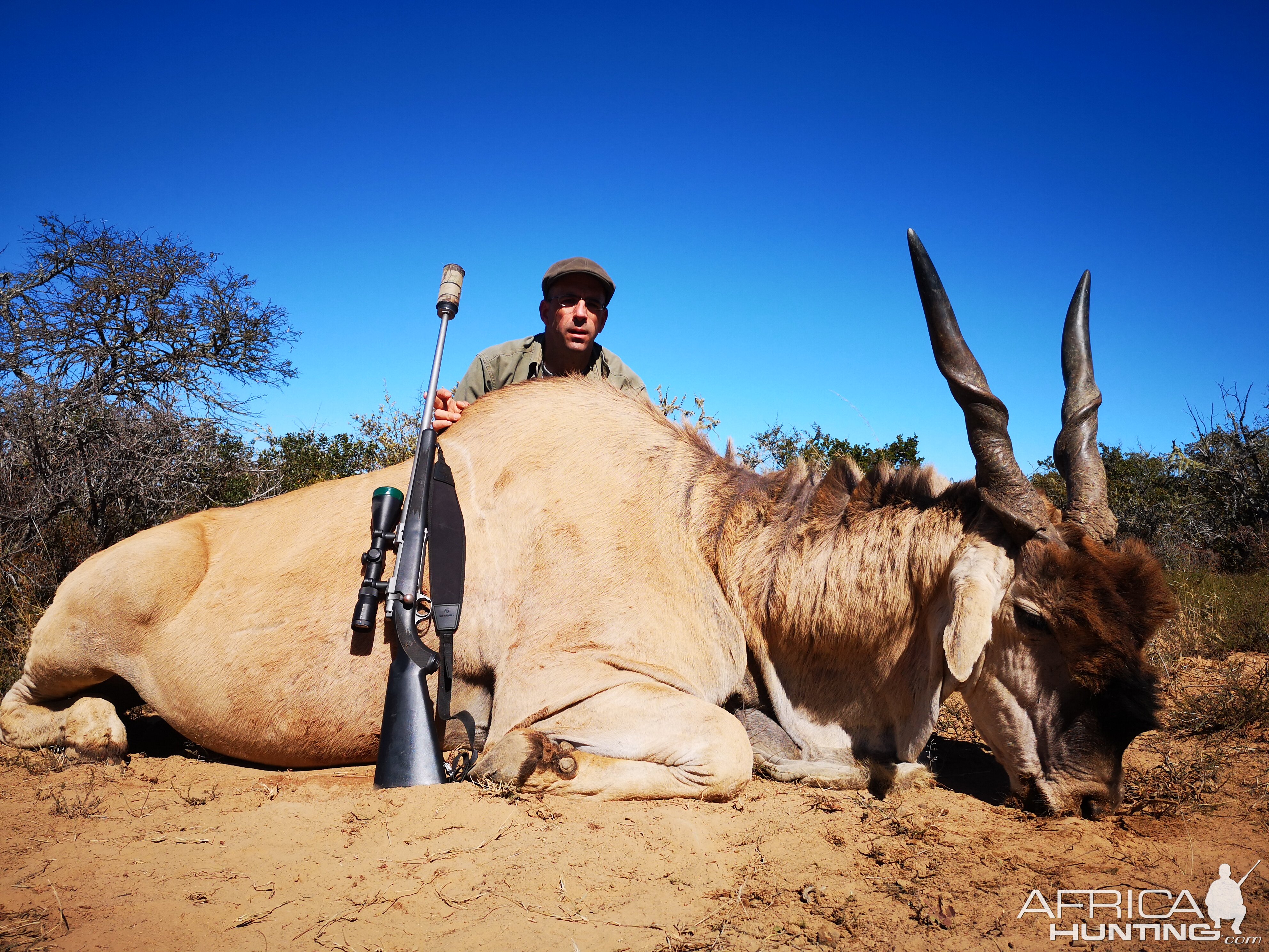 Hunting Eland in South Africa