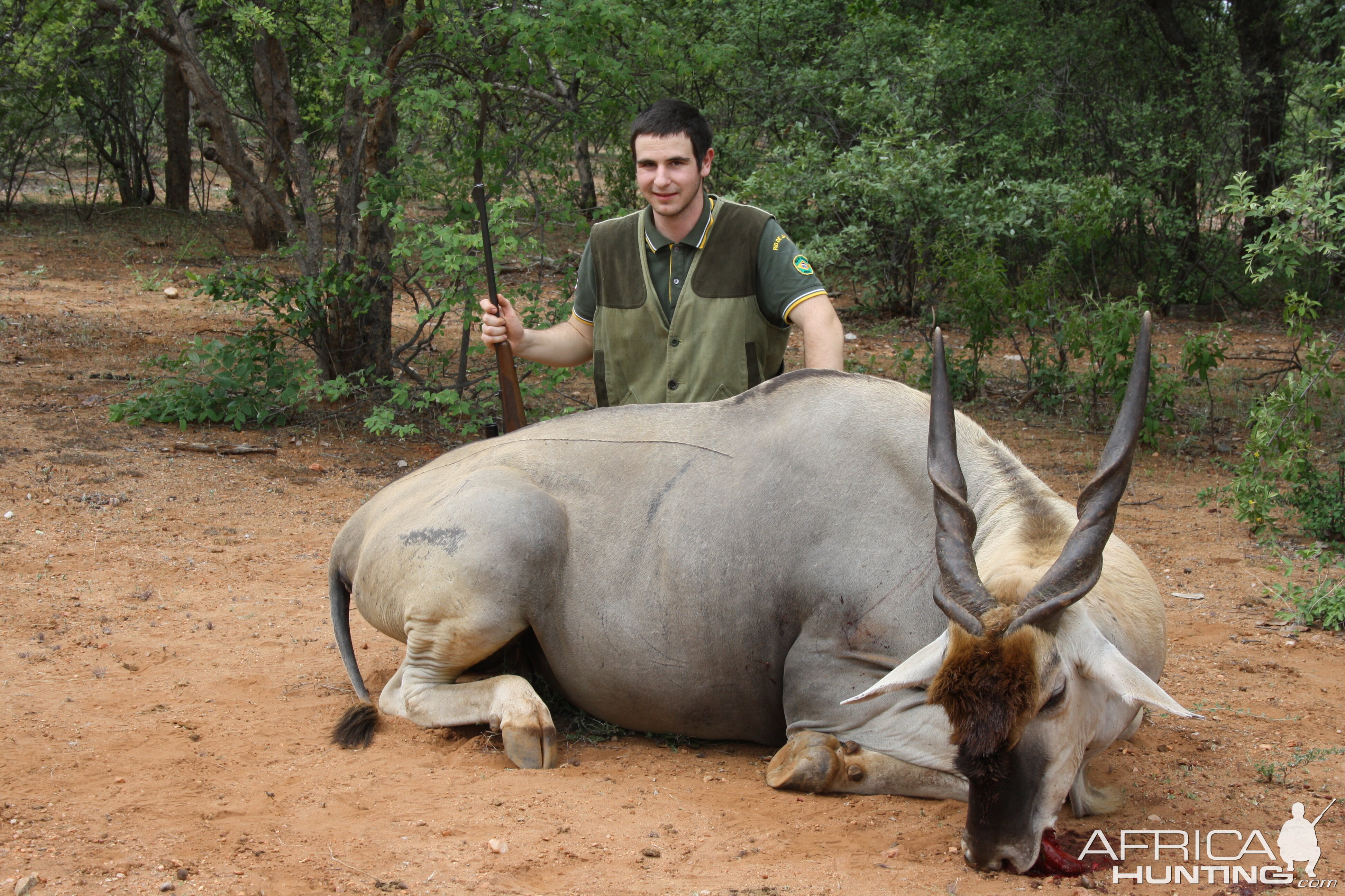 Hunting Eland in South Africa