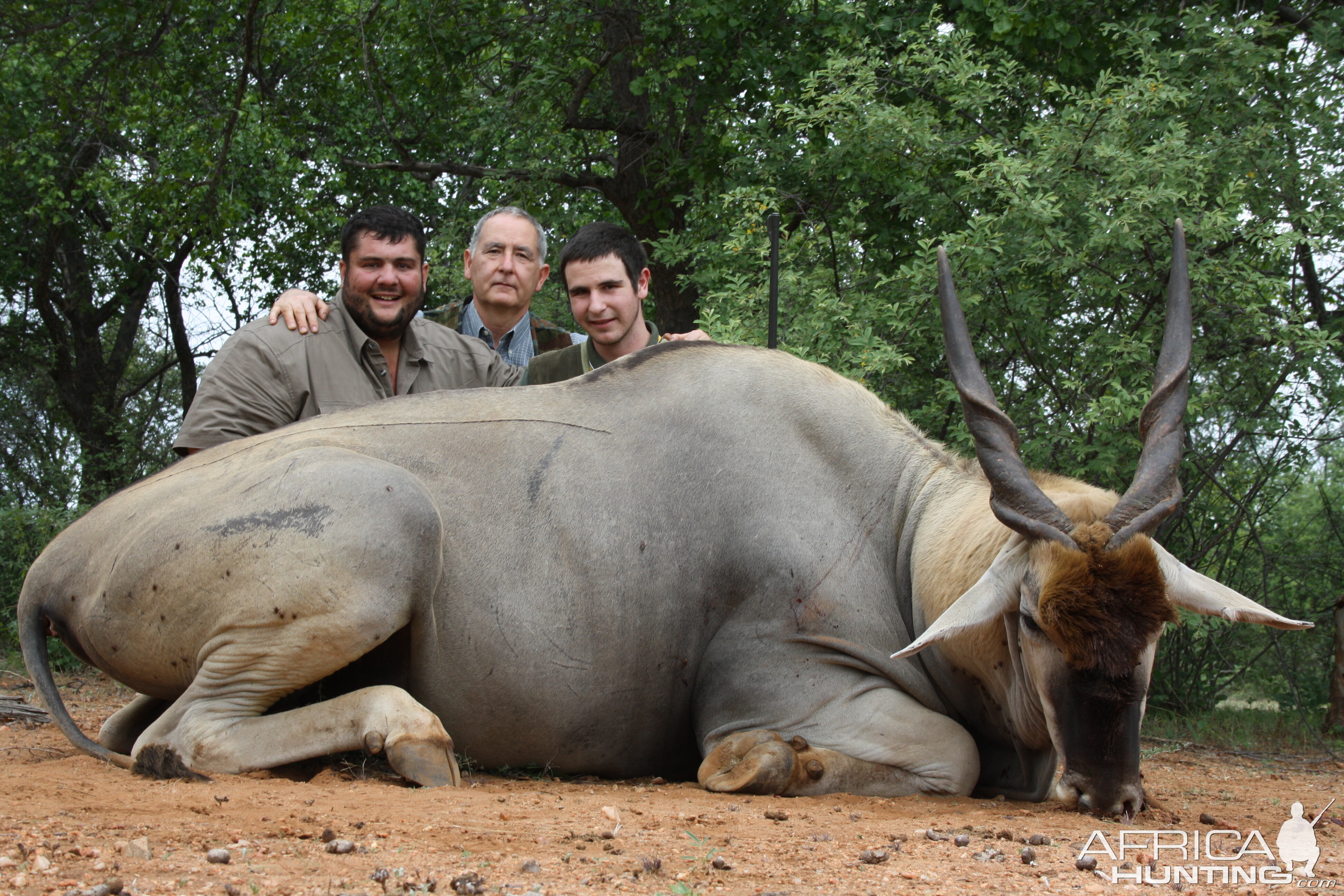 Hunting Eland in South Africa