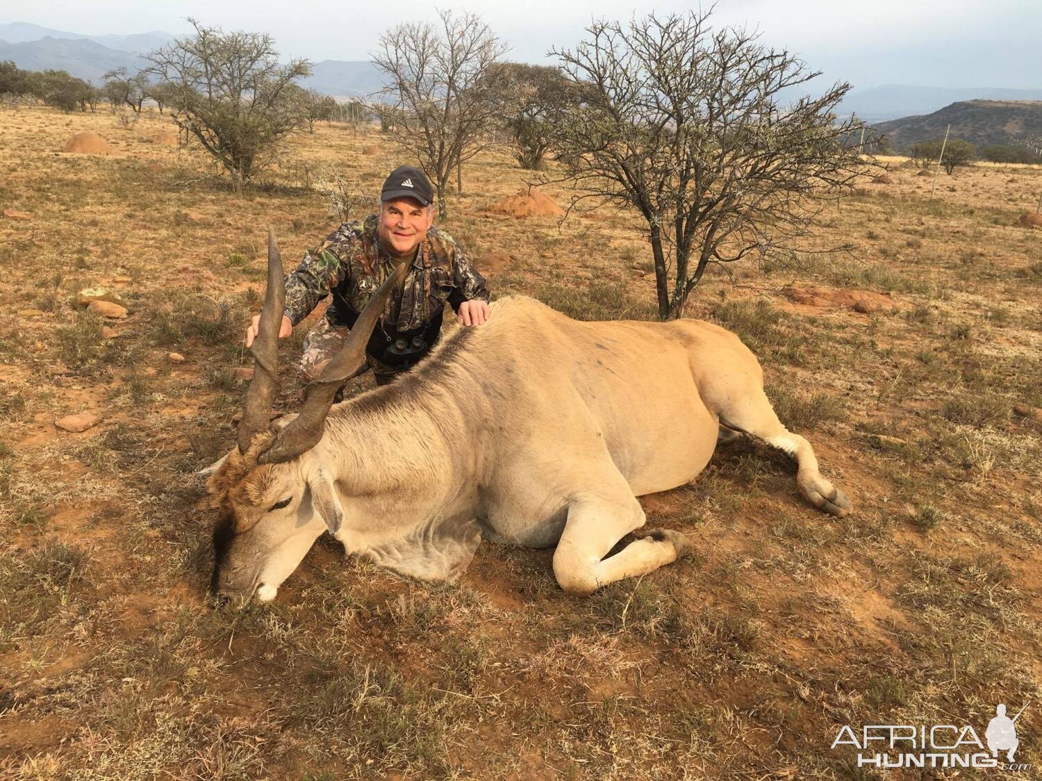 Hunting Eland in South Africa