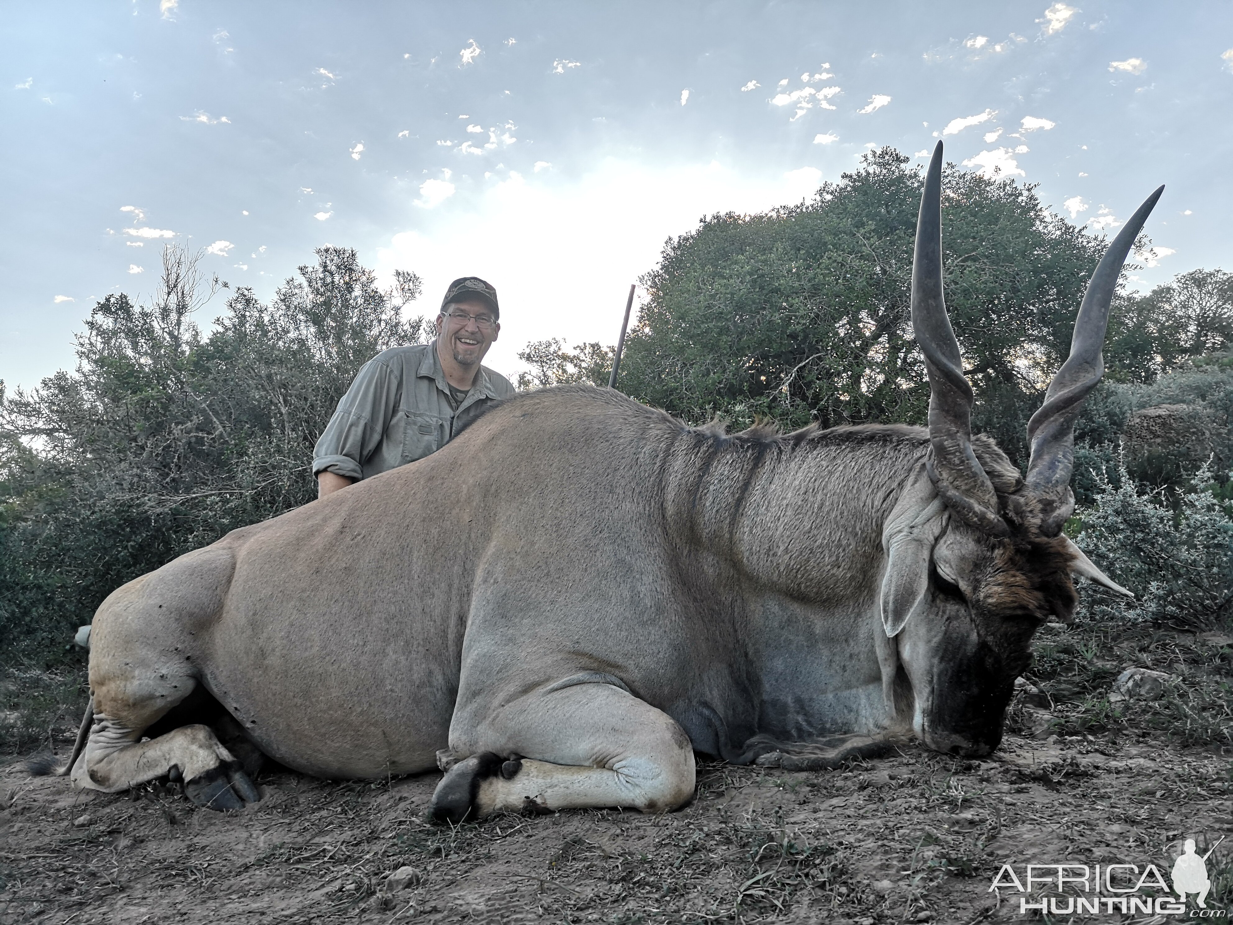 Hunting Eland in South Africa