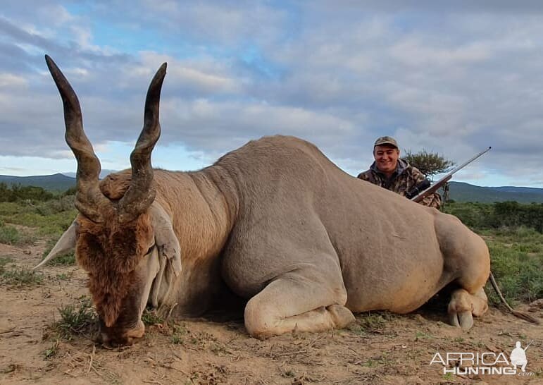 Hunting Eland in South Africa