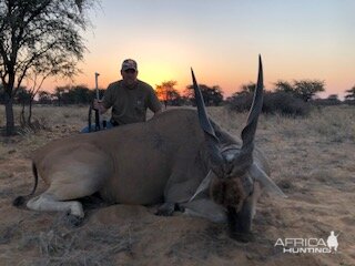 Hunting Eland in South Africa