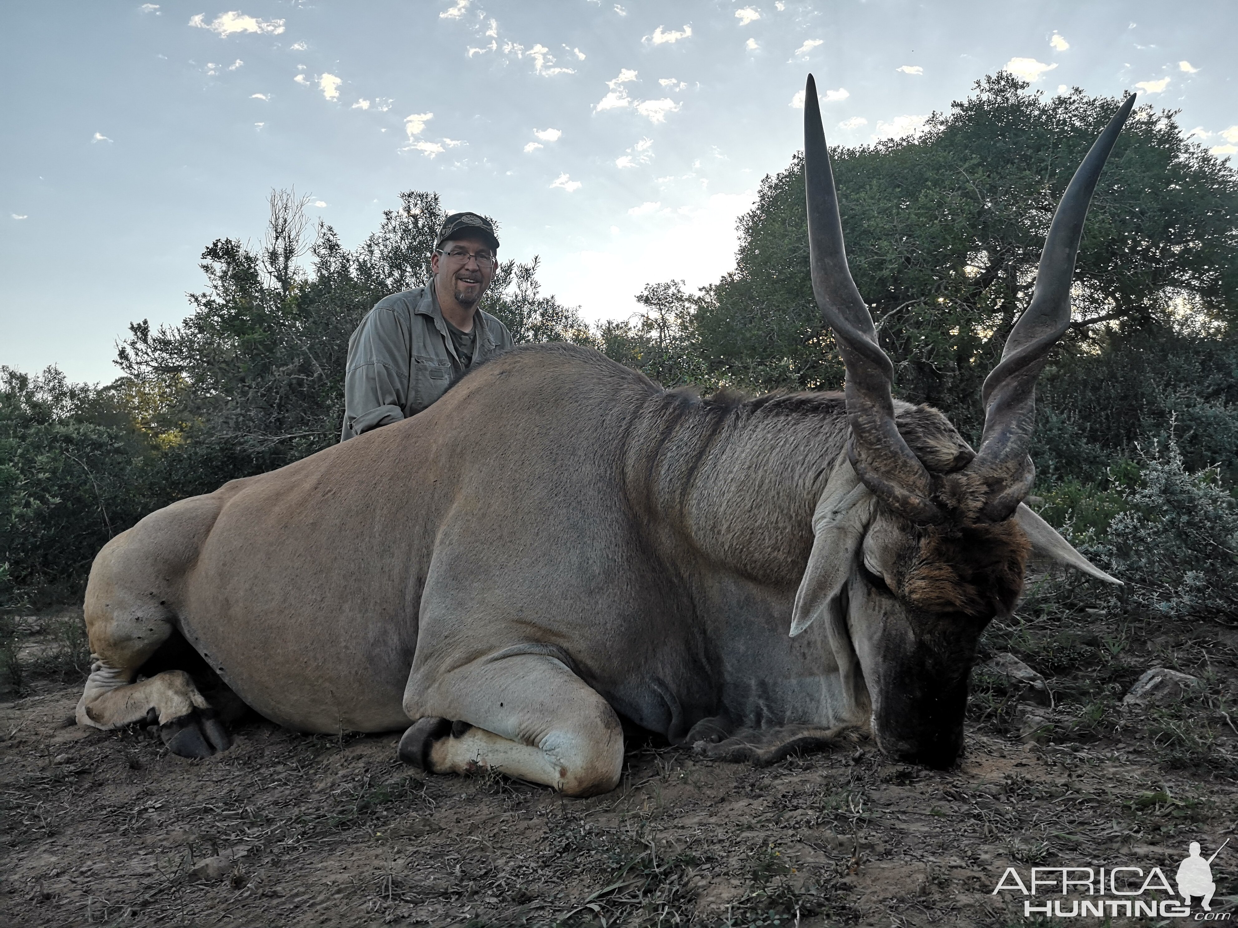 Hunting Eland in South Africa