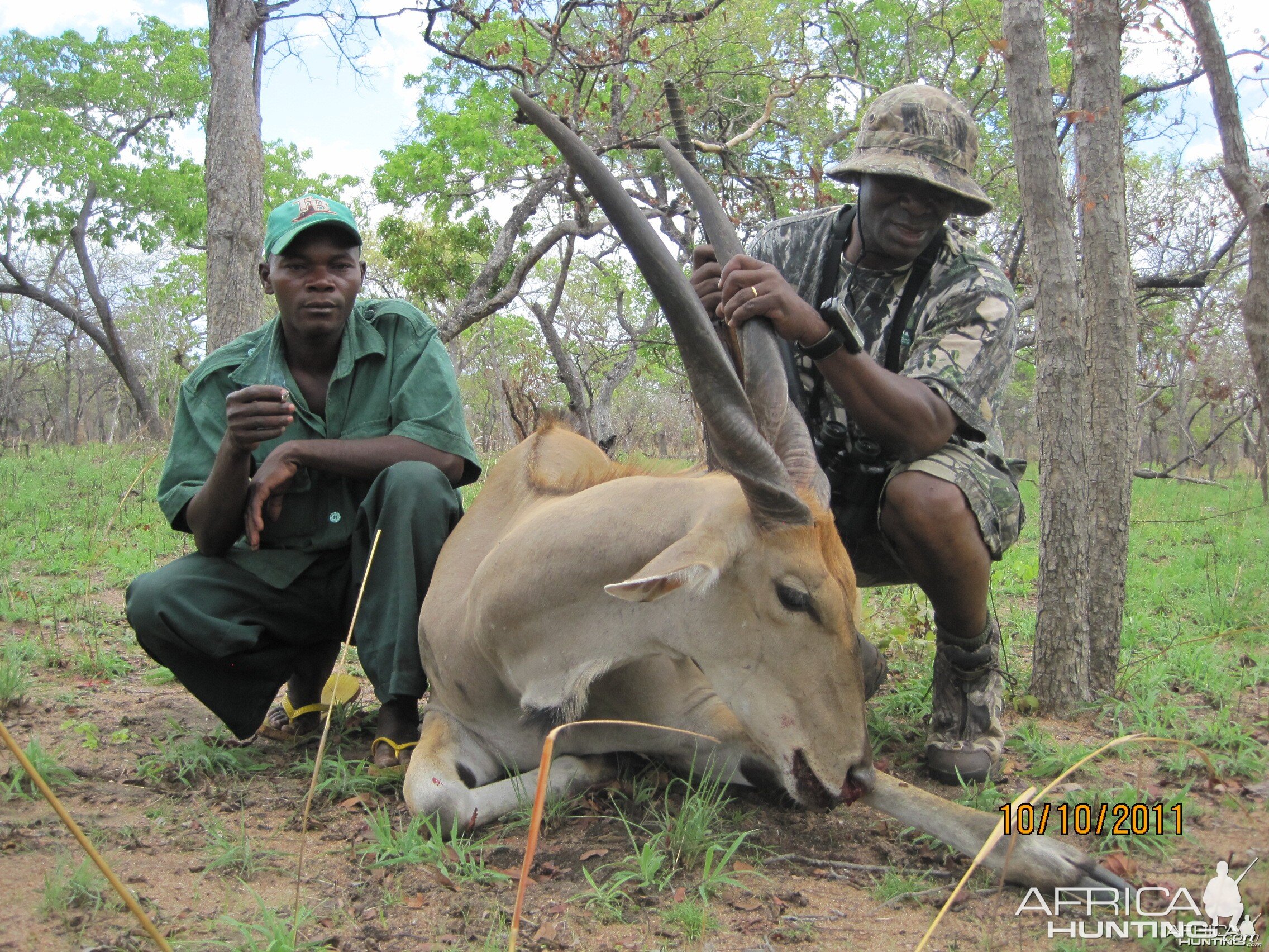 Hunting eland in Tanzania - Liwale