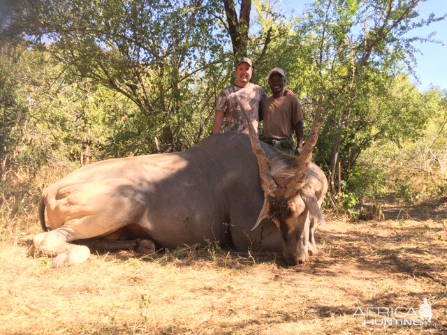 Hunting Eland in Zimbabawe