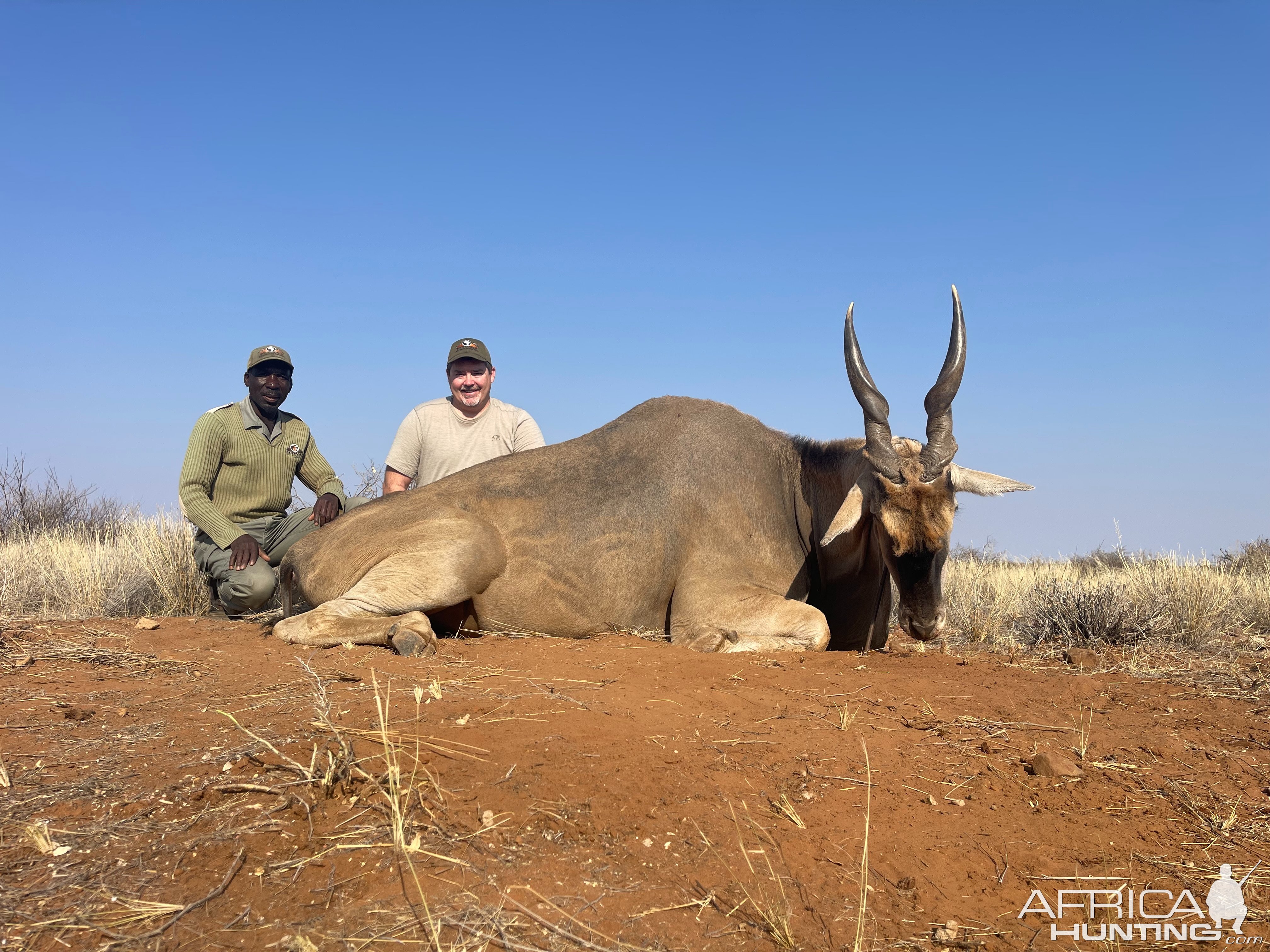 Hunting Eland Namibia