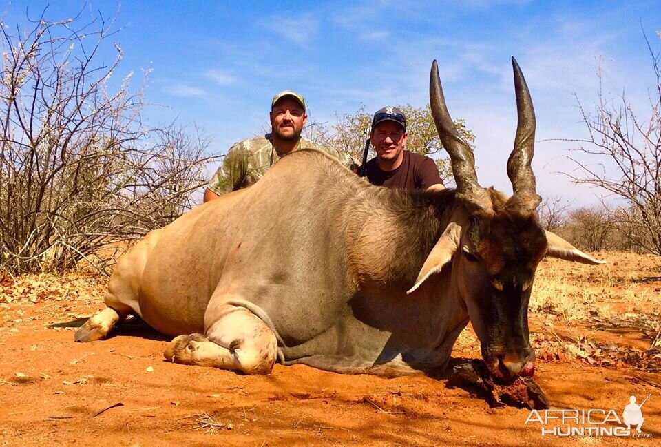 Hunting Eland Namibia