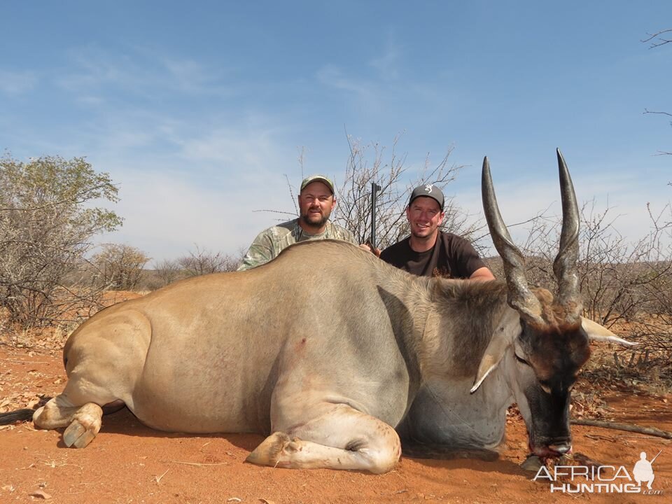 Hunting Eland Namibia