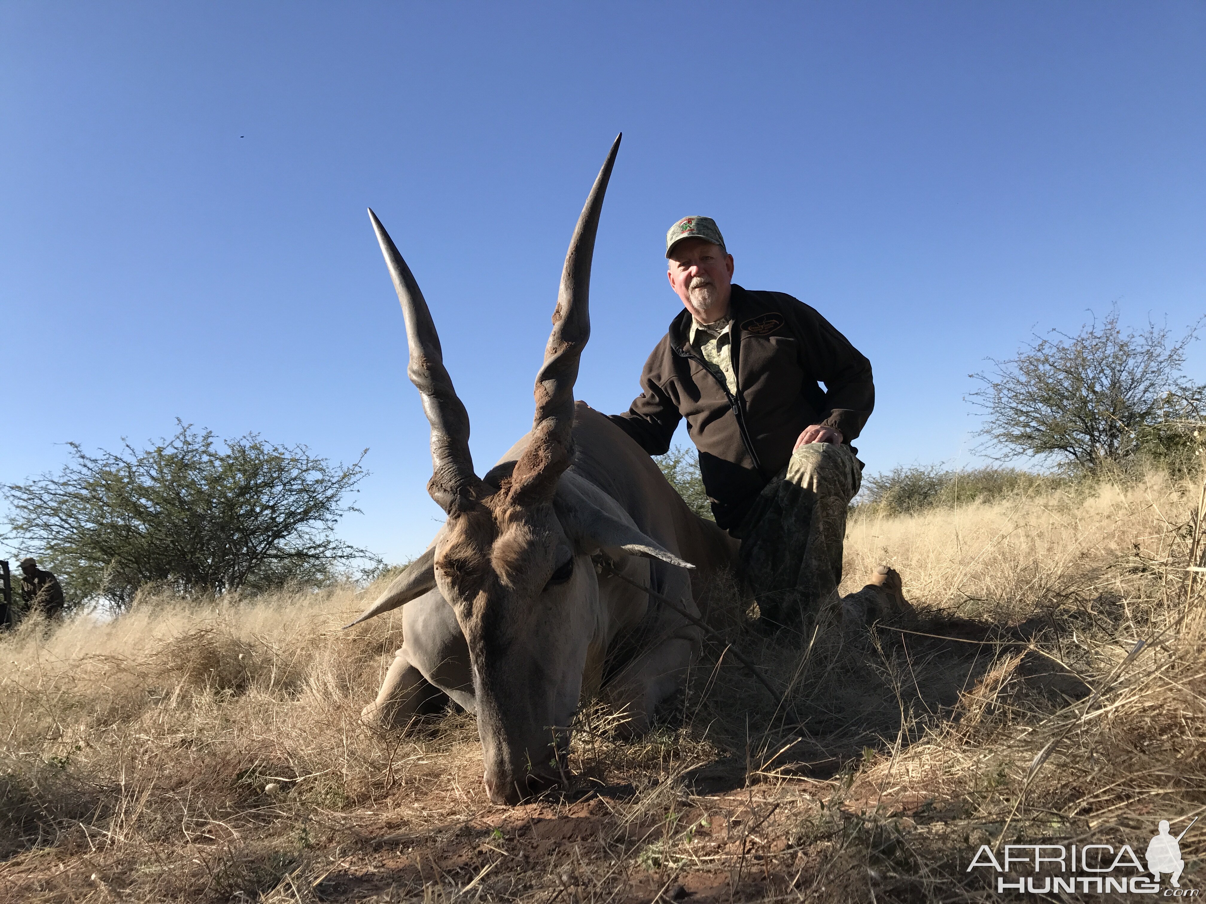 Hunting Eland Namibia