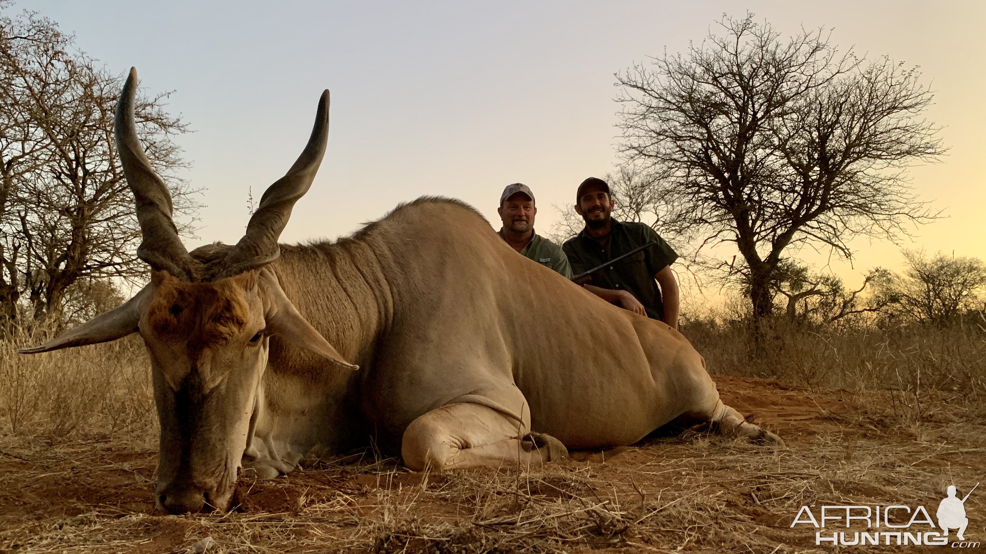 Hunting Eland South Africa