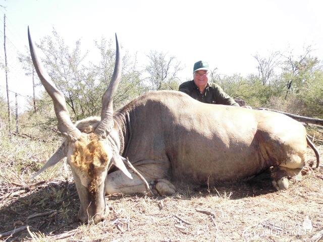 Hunting Eland South Africa