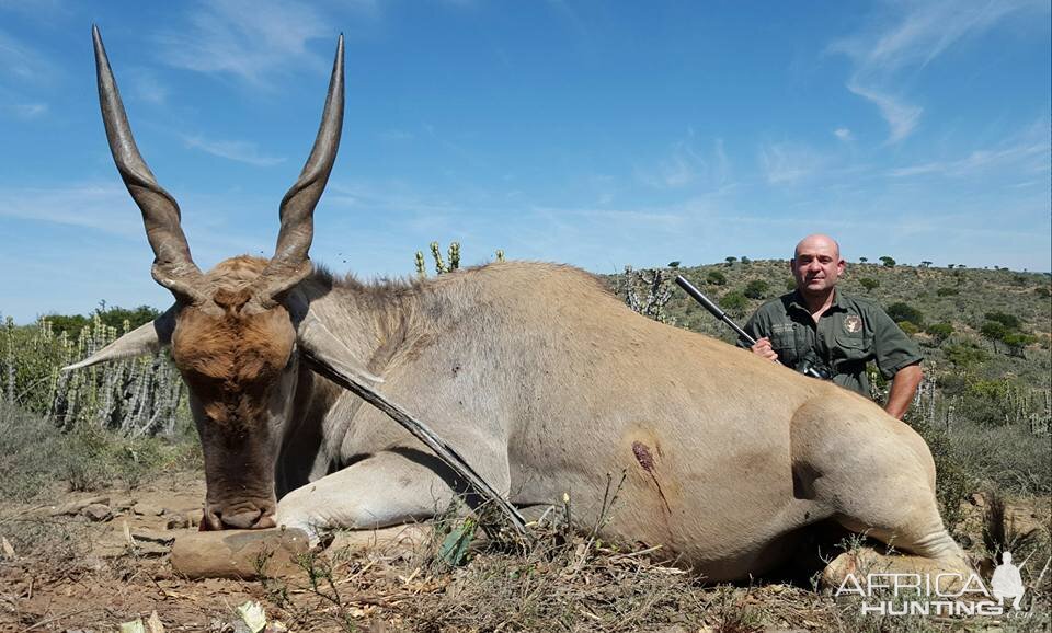 Hunting Eland South Africa