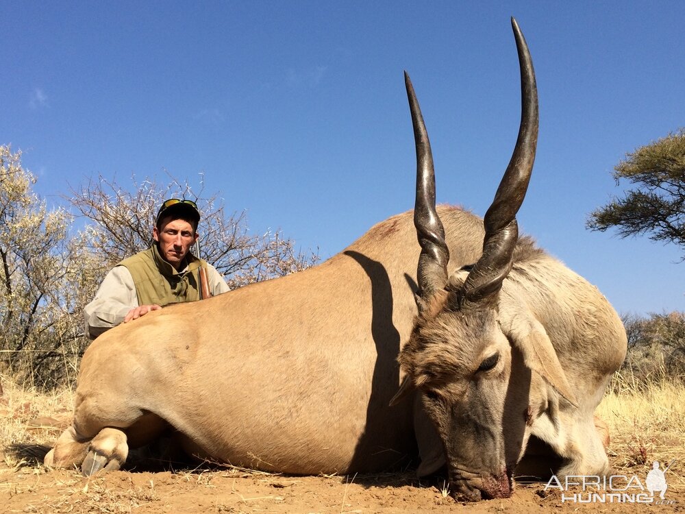 Hunting Eland South Africa