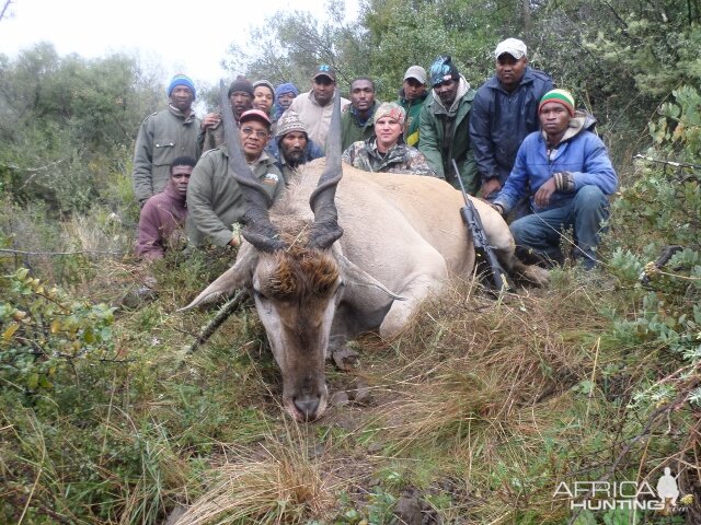 Hunting Eland South Africa