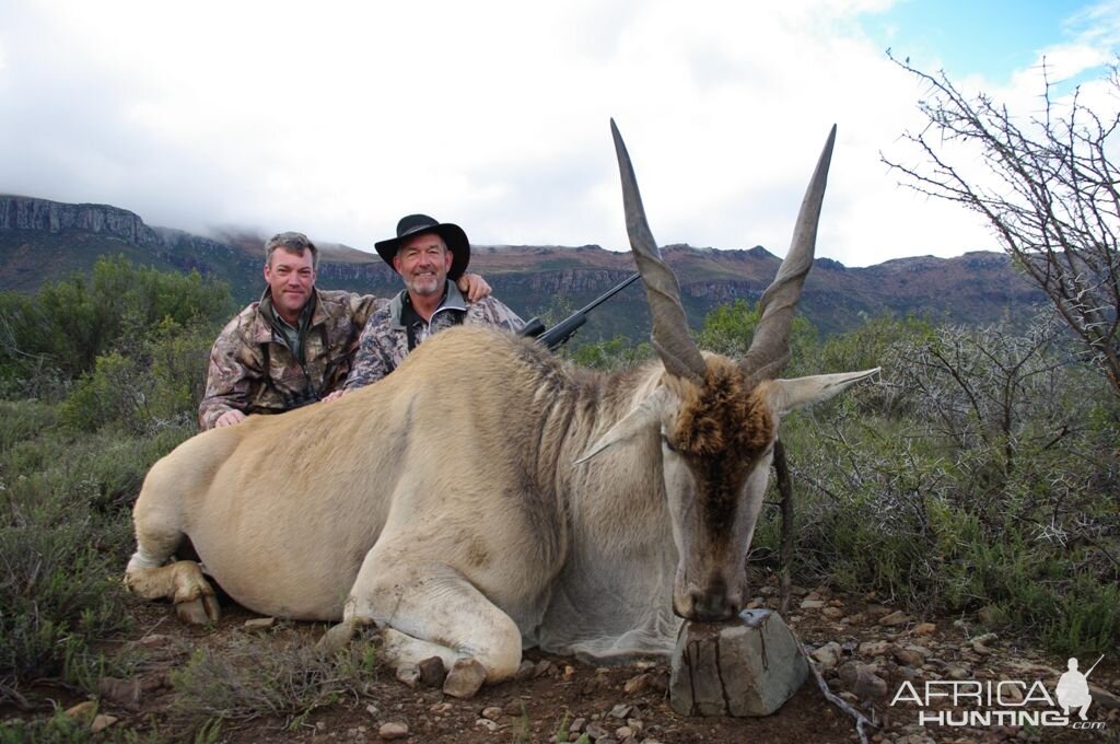 Hunting Eland South Africa